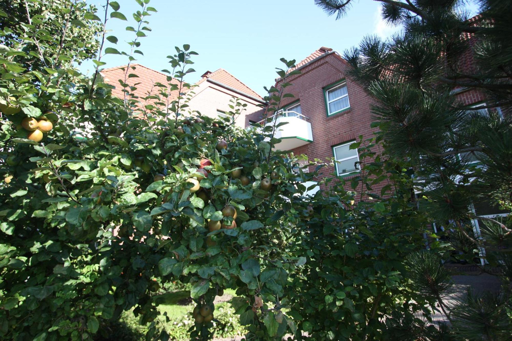 בוסום Apartmenthaus Hollaenderei מראה חיצוני תמונה
